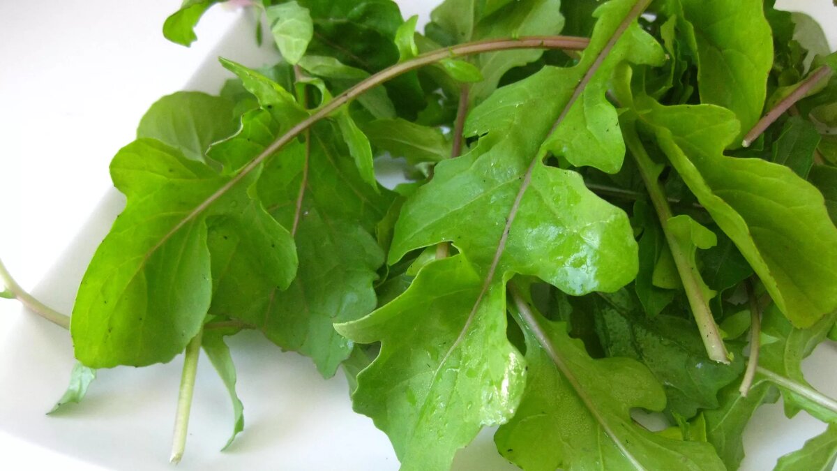 CC BY 2.0 / Kate / Arugula