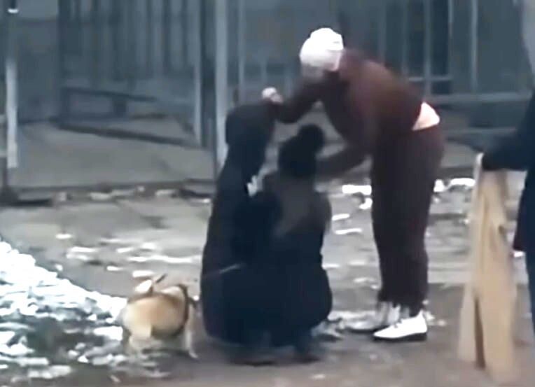     / Источник: Кадр из видео