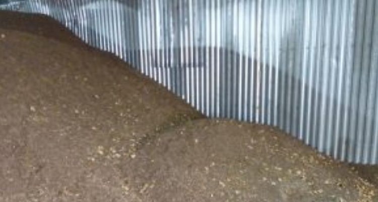    Фото: Управление Россельхознадзора по Орловской и Курской областям