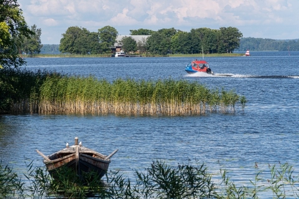 Школьника пряталась от полиции в камышах. Фото: Михаил Фролов