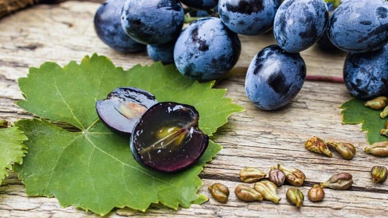    Фото: Maryna Osadcha/Shutterstock/Fotodom