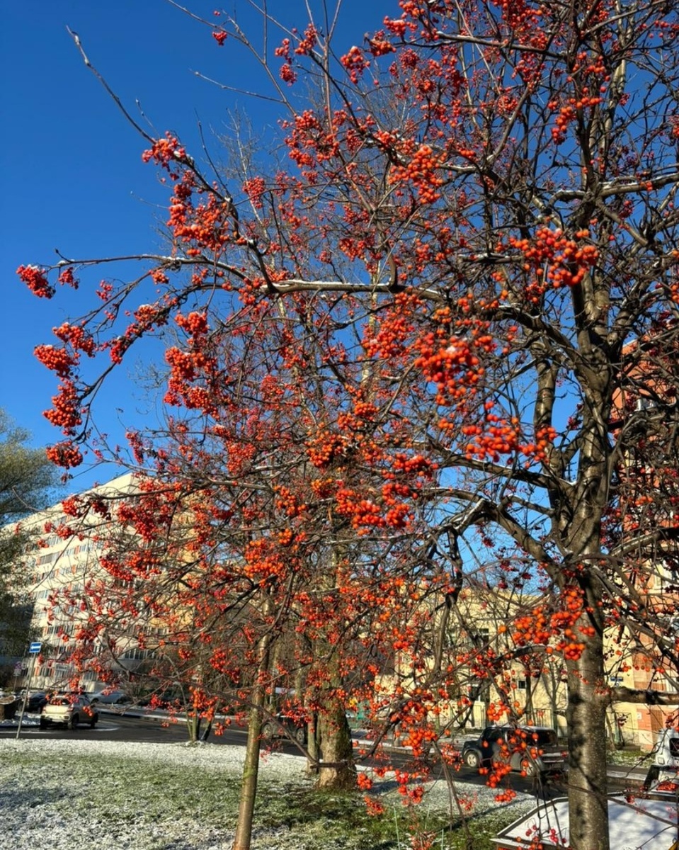 Сейчас я тут. Петербург.