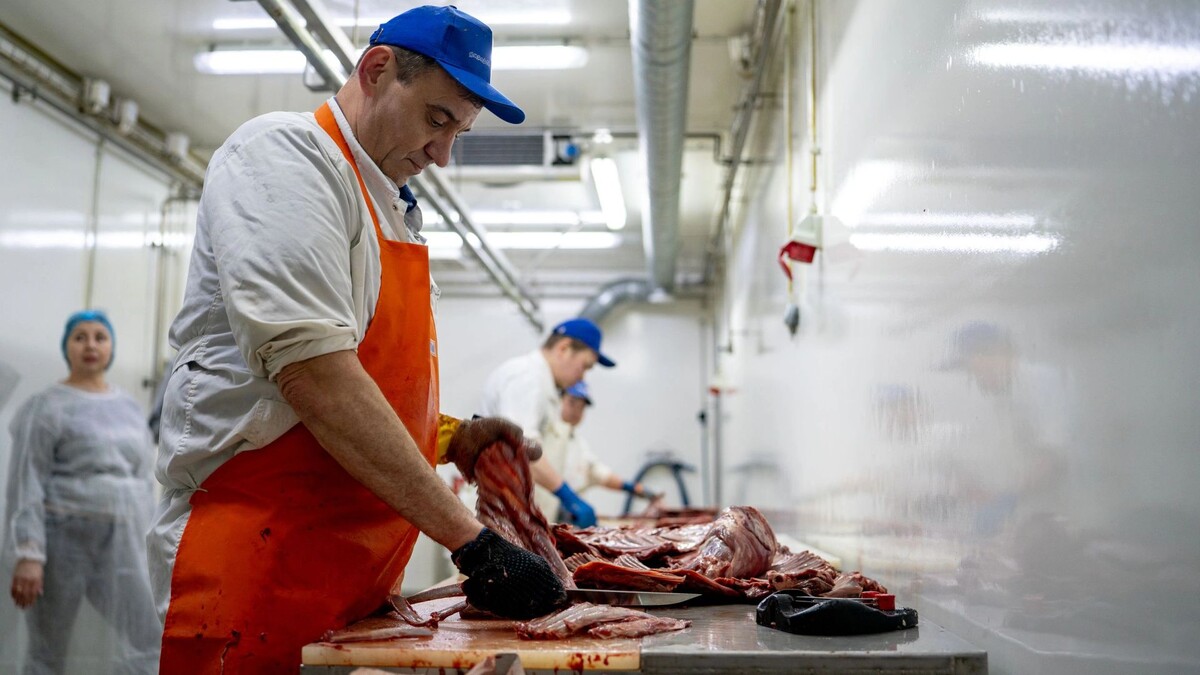    Фото: Сергей Зубков/«Ямал-Медиа»