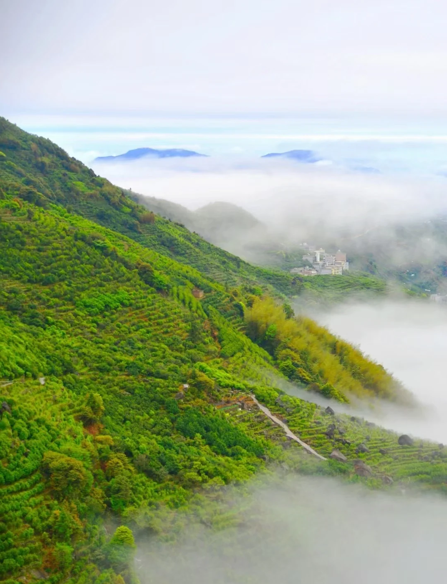 В горах Феникса туманно