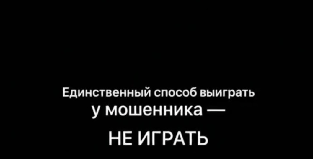 «Защита бродячих собак» — это игра в напёрстки.