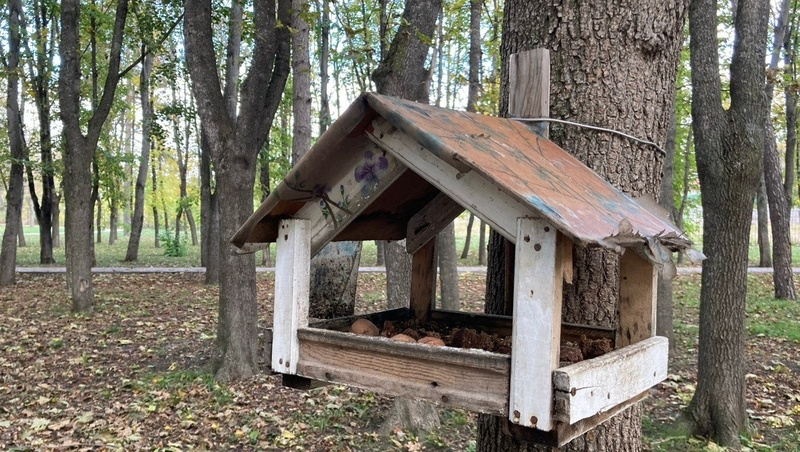     Фото: Виктория Ветер / / ИА «Победа26»