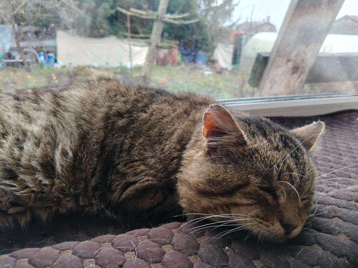 Фото автора