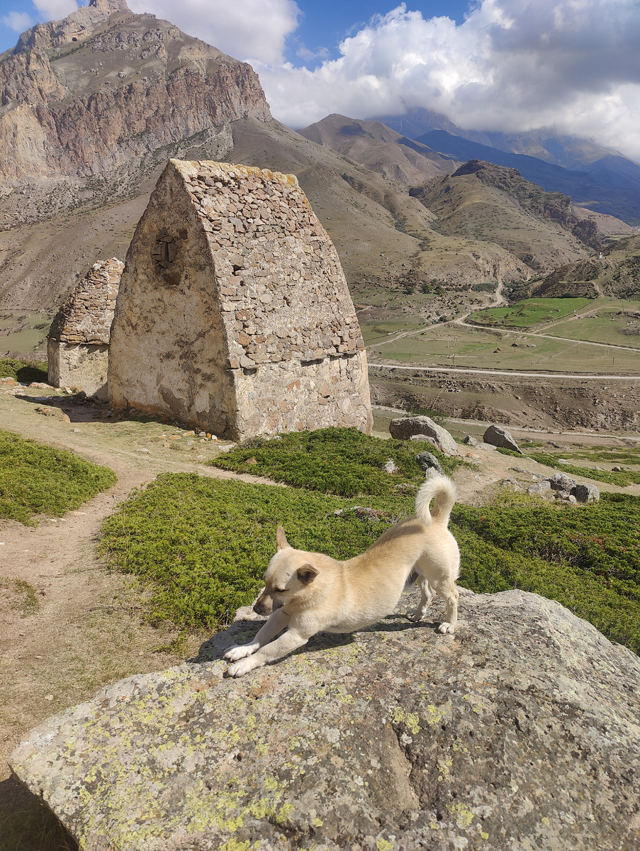 Фото автора. Чегемская Сторожевая.