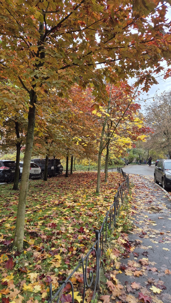 Для тех, кто присоединился. Меня зовут Юля. Мы с семьей переехали в Подмосковье в 2022 году и теперь помогаем перебраться моей свекрови Людмиле Ивановне.