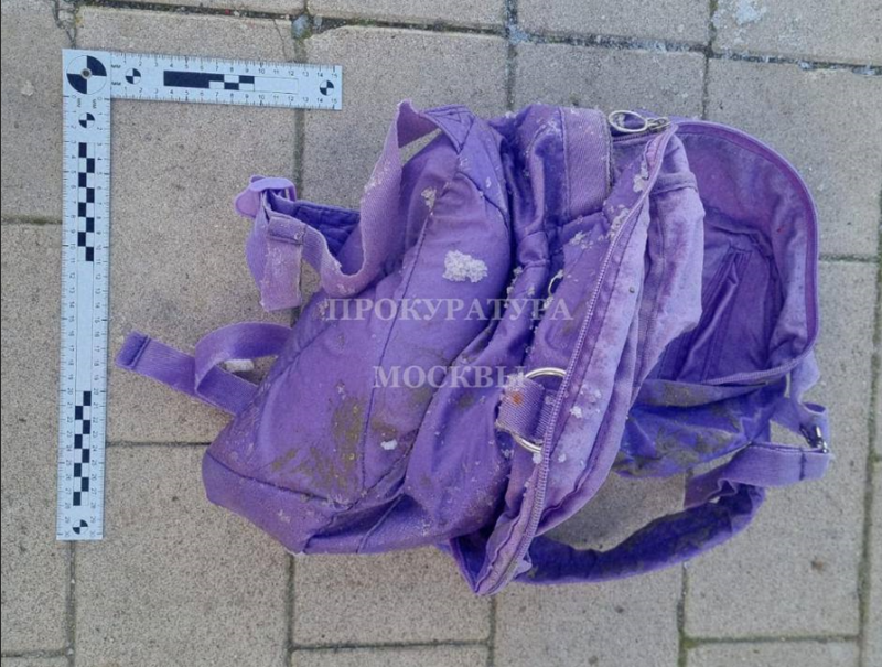    Рюкзак, в котором нашли голову мальчика. Фото: прокуратура Москвы