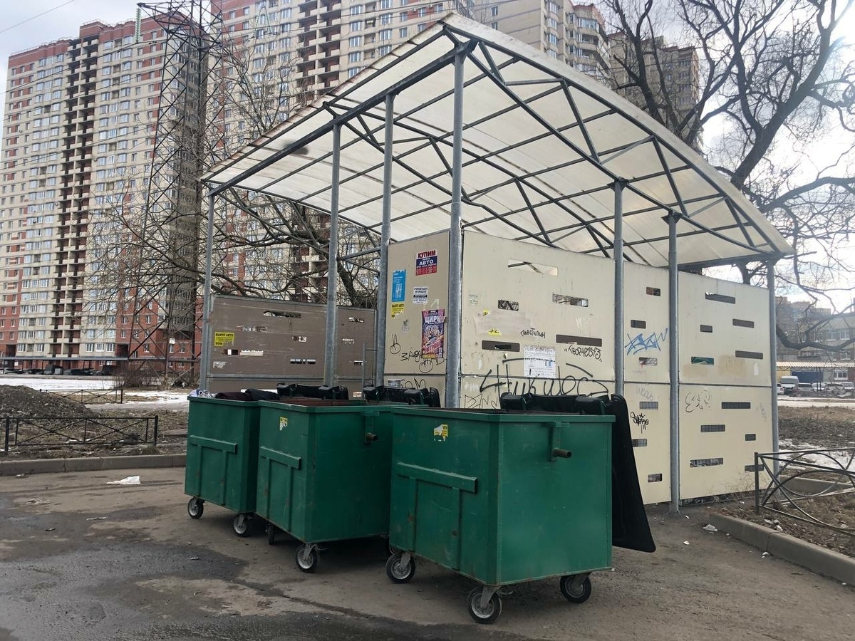 Фото: Neva.Today/Анастасия Смирнова