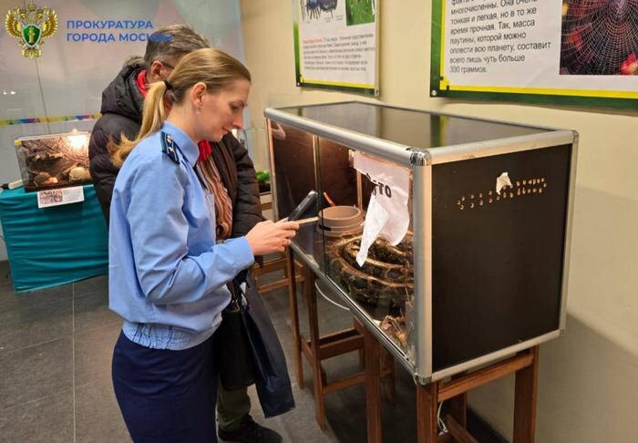 Обложка © Telegram / Прокуратура Москвы