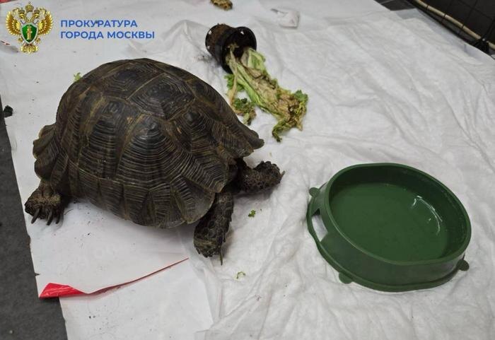 Экспонируемые животные. Фото © Telegram / Прокуратура Москвы