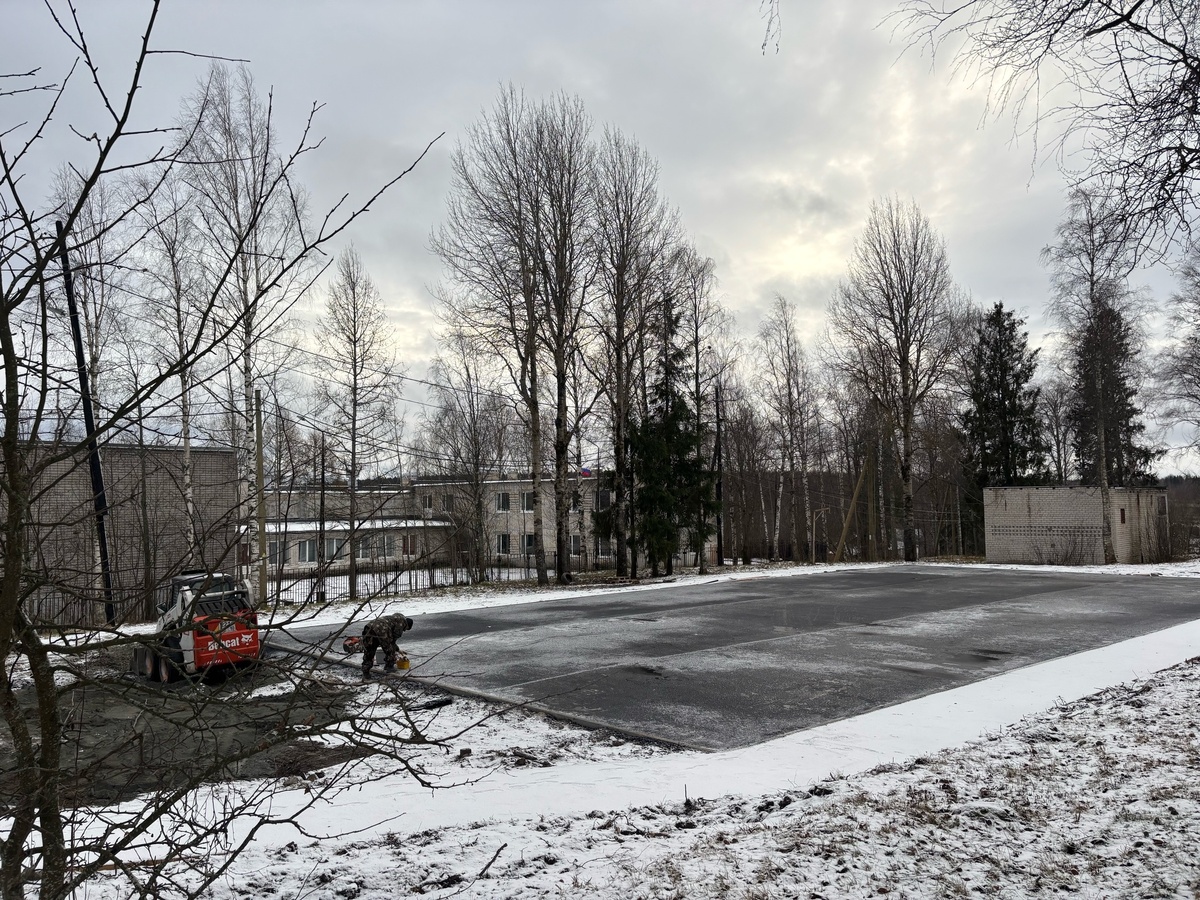    фото: © Администрация Петрозаводска