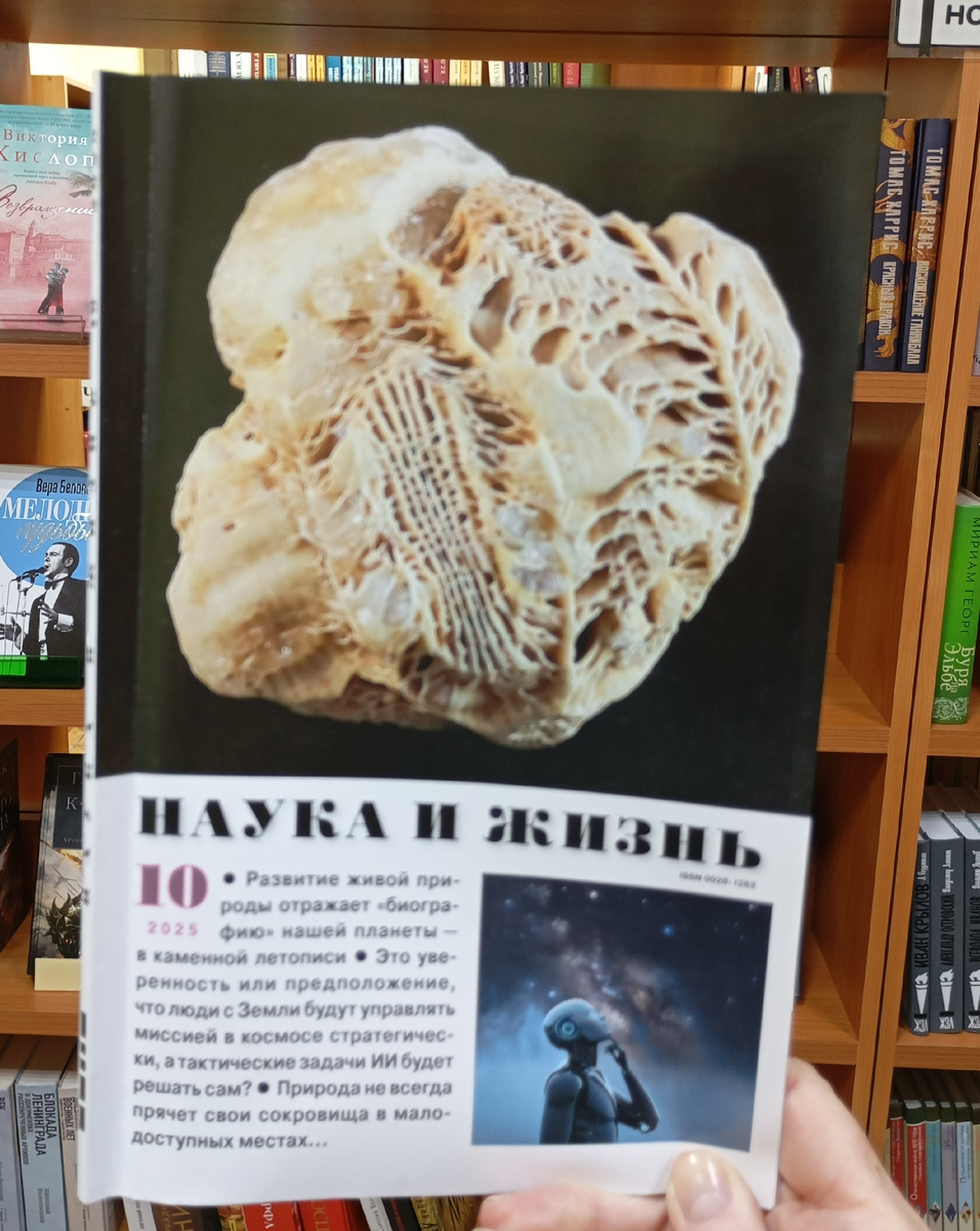 Фотография автора