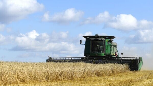    © Sputnik / Aleksandr Kryazhev