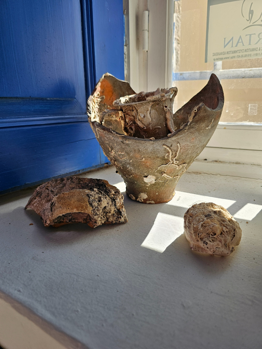 Вклад Кусто в экспозицию Морского музея