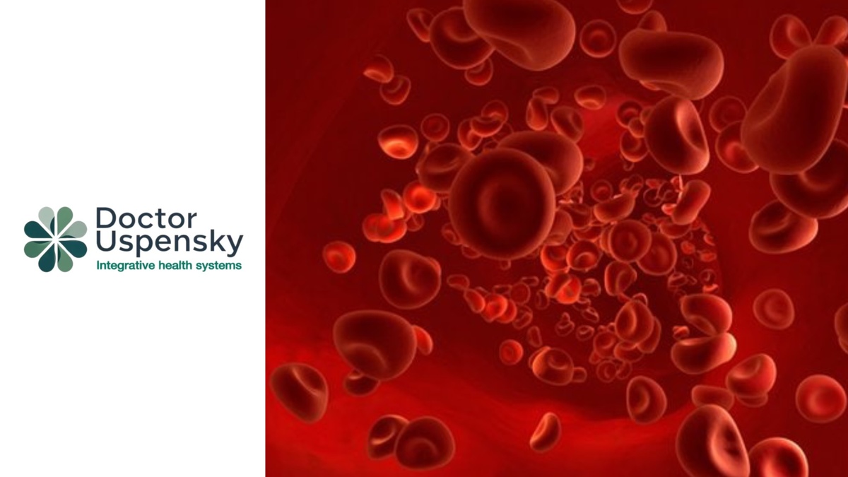 Эритроциты