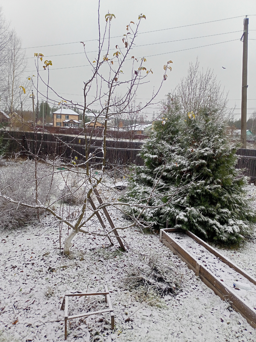 У нас наконец то выпал снег и стало чище и светлее