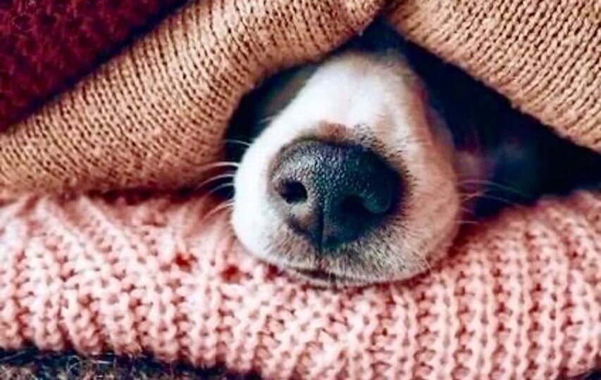 Наконец-то я в дневнике)