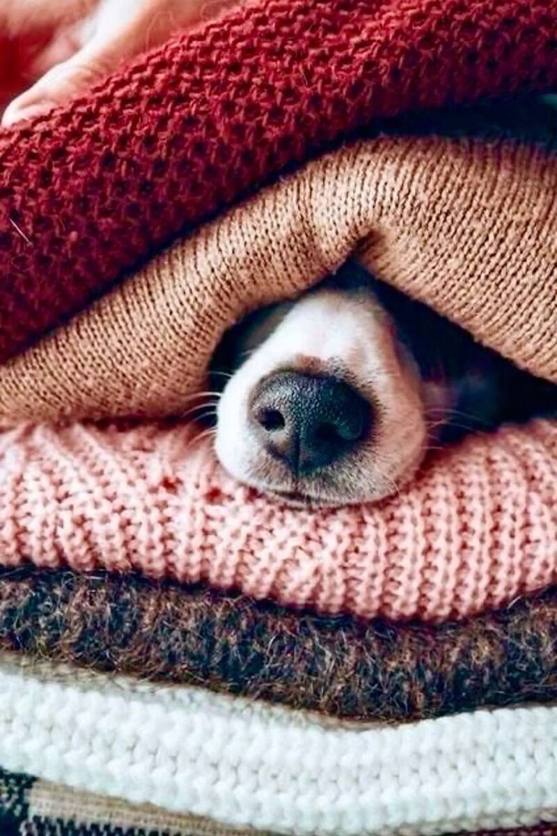 Хотелось лежать так,а не это вот всё 