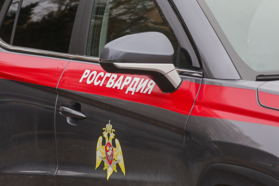    Наталья Шатохина/NEWS.ru