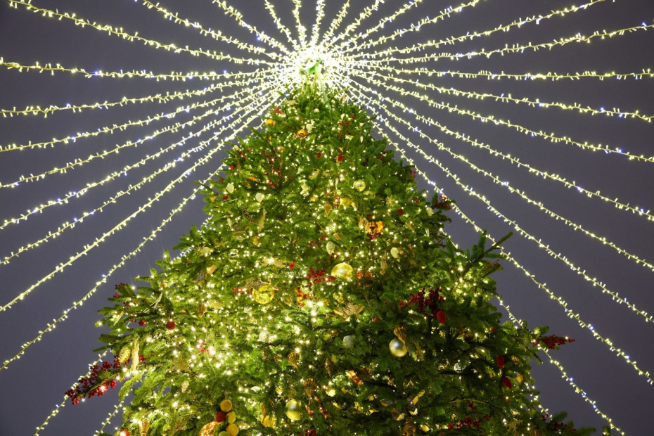    Наталья Шатохина/NEWS.ru