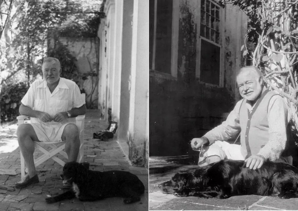 Хемингуэй с собаками