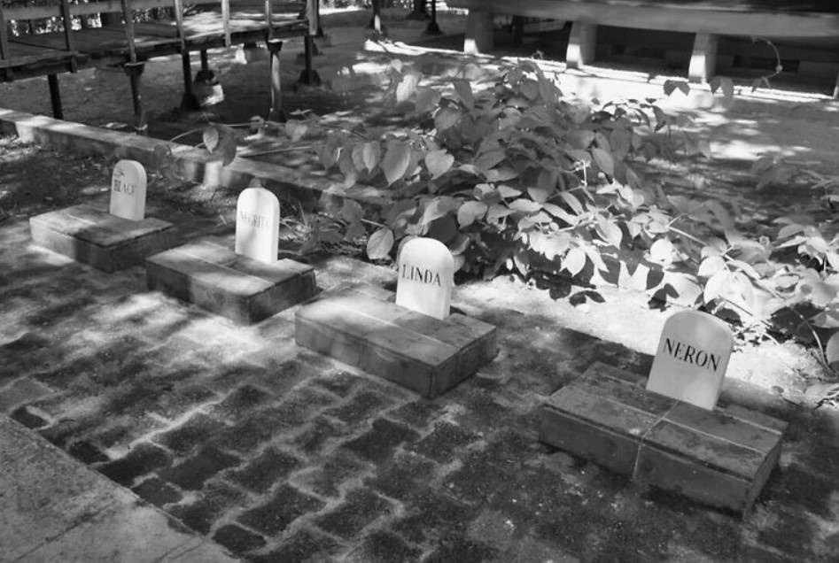 Собачье кладбище в Финка Вихия