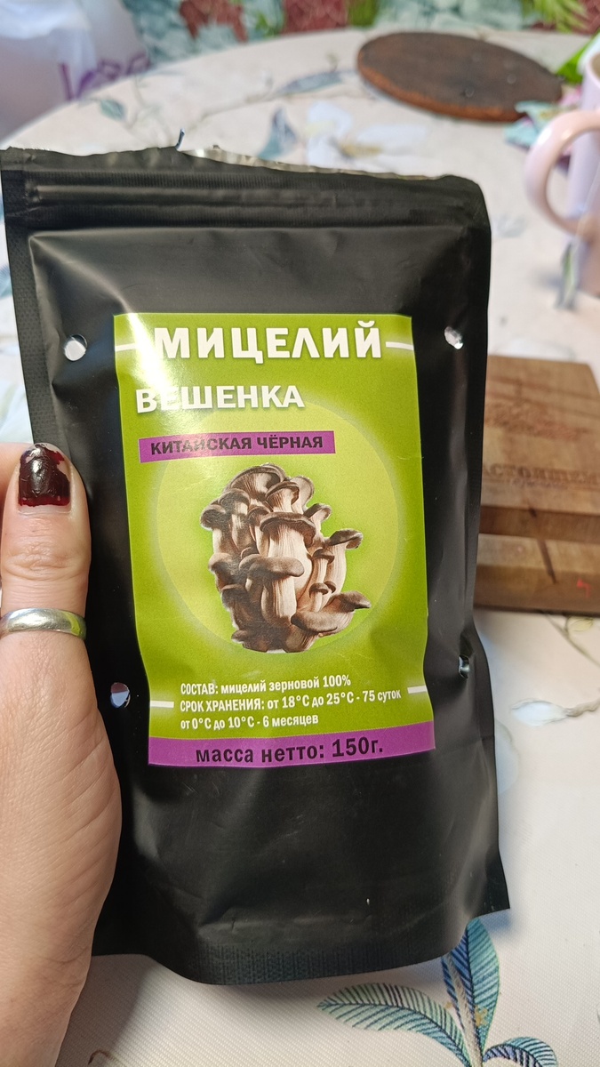 Живой мицелий