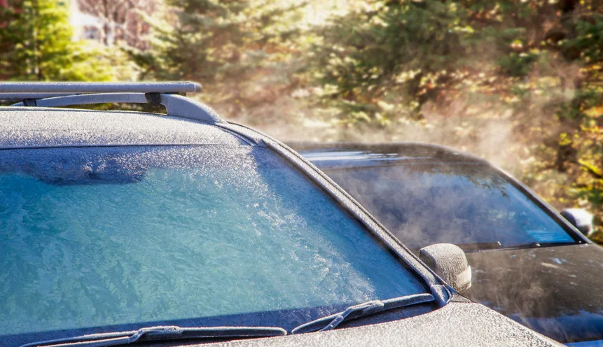 Фото взято с сервиса Яндекс.Картинки