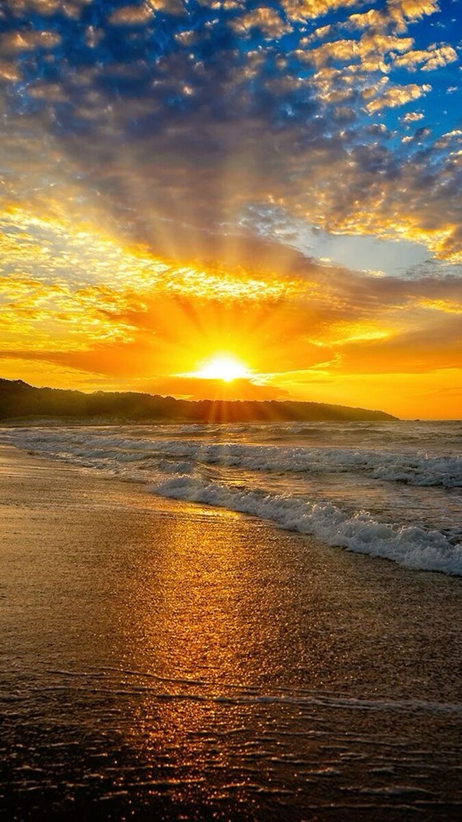 фото взято из открытого источника