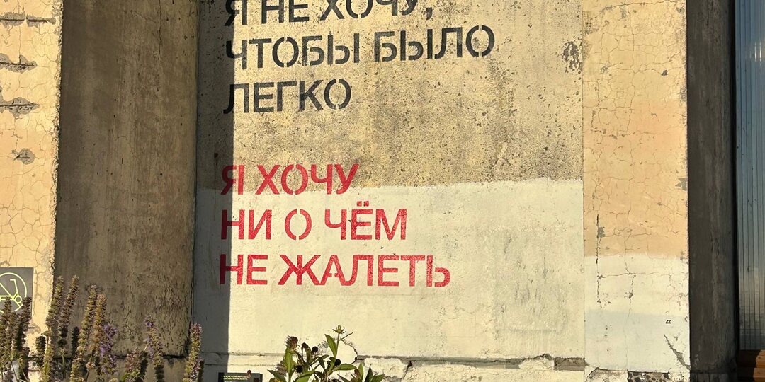 Топ-5 курсов, которые стоит купить на распродаже Stepik