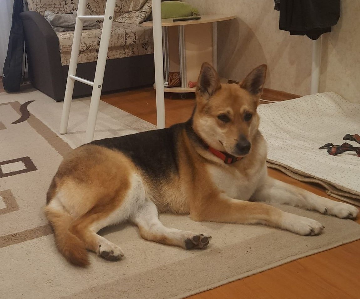 Первый день дома