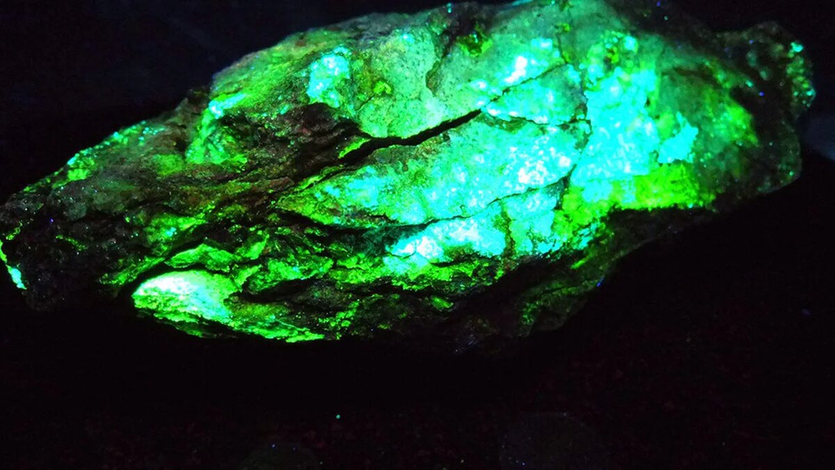    Фото: freepik,com