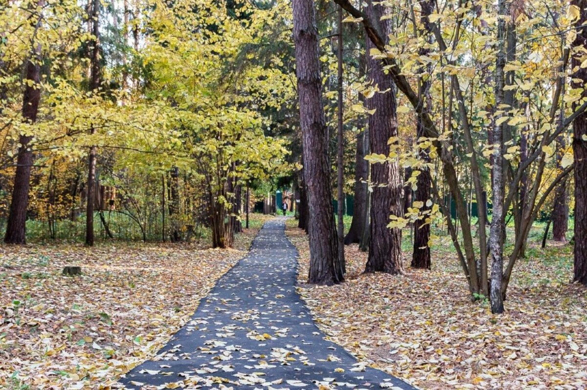 Поселок Успенские дачи