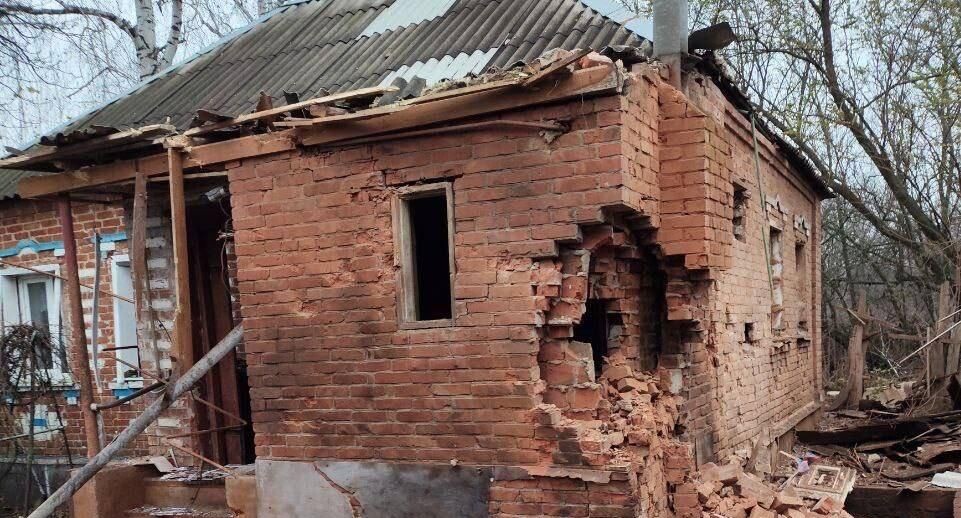    губернатор Белгородской области Вячеслав Гладков / Telegram