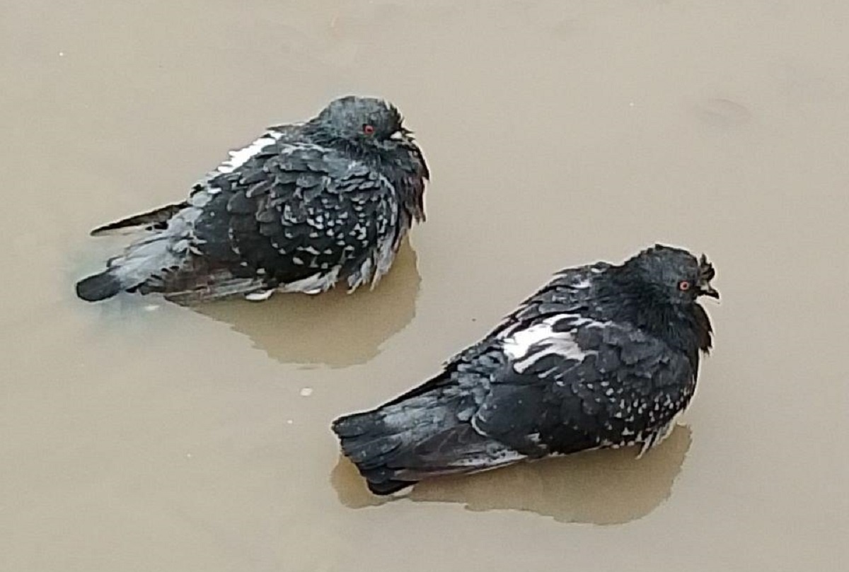 © Фото: ИД «Волгоградская правда» / архив.