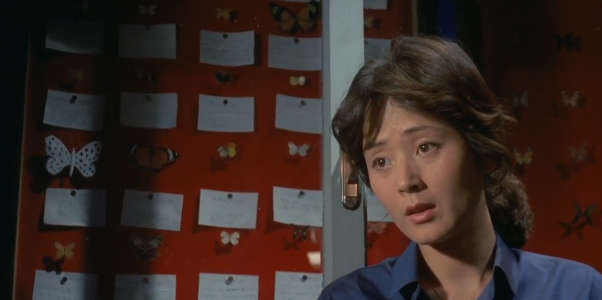 Кадр из фильма «Внезапно тёмной ночью» (1981): Сон Хи и коллекция бабочек её мужа