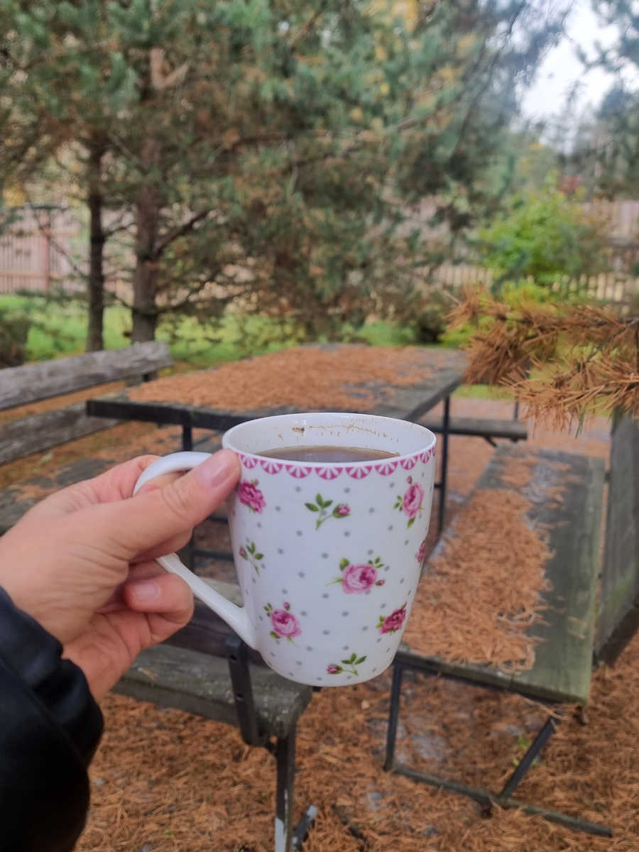 Закрытие нашего дачного сезона