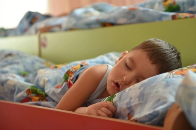    Фото: АиФ/ Фото Алексея Гусева