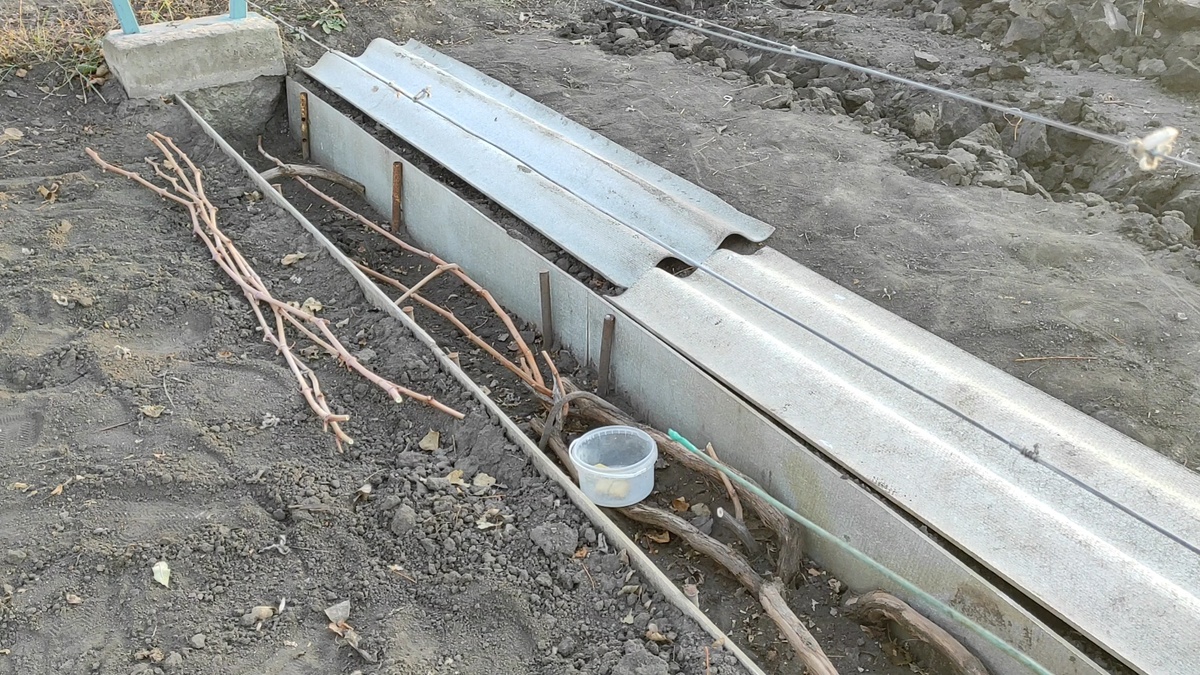 Вот так устроен мой канал для укрытия винограда на зиму и весну.