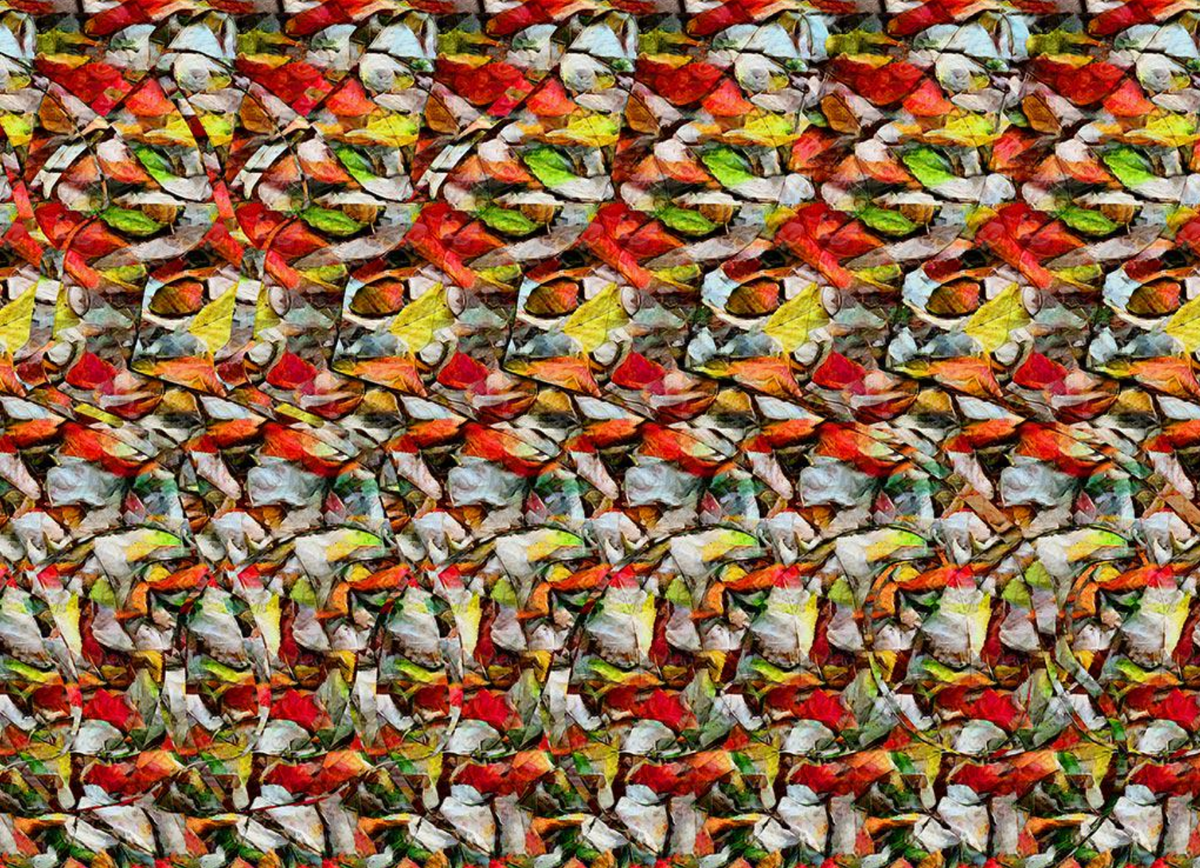 А кого вы видите тут?