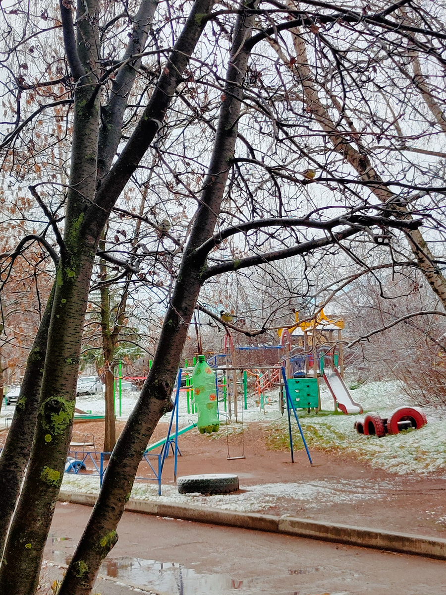 Пластиковая бутылка - отличная кормушка. Менять по мере загрязнения, фото автора 