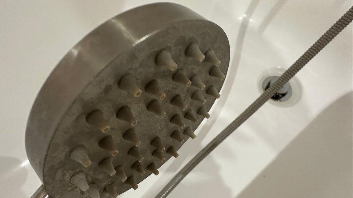    Фото: телеканал «Краснодар»