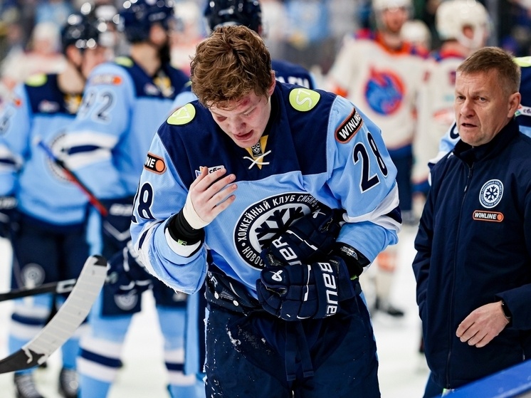     Фото: соцсети ХК "Сибирь"