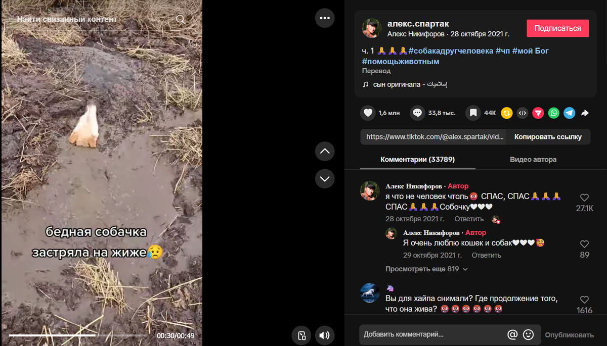 Собака, тонущая в грязи