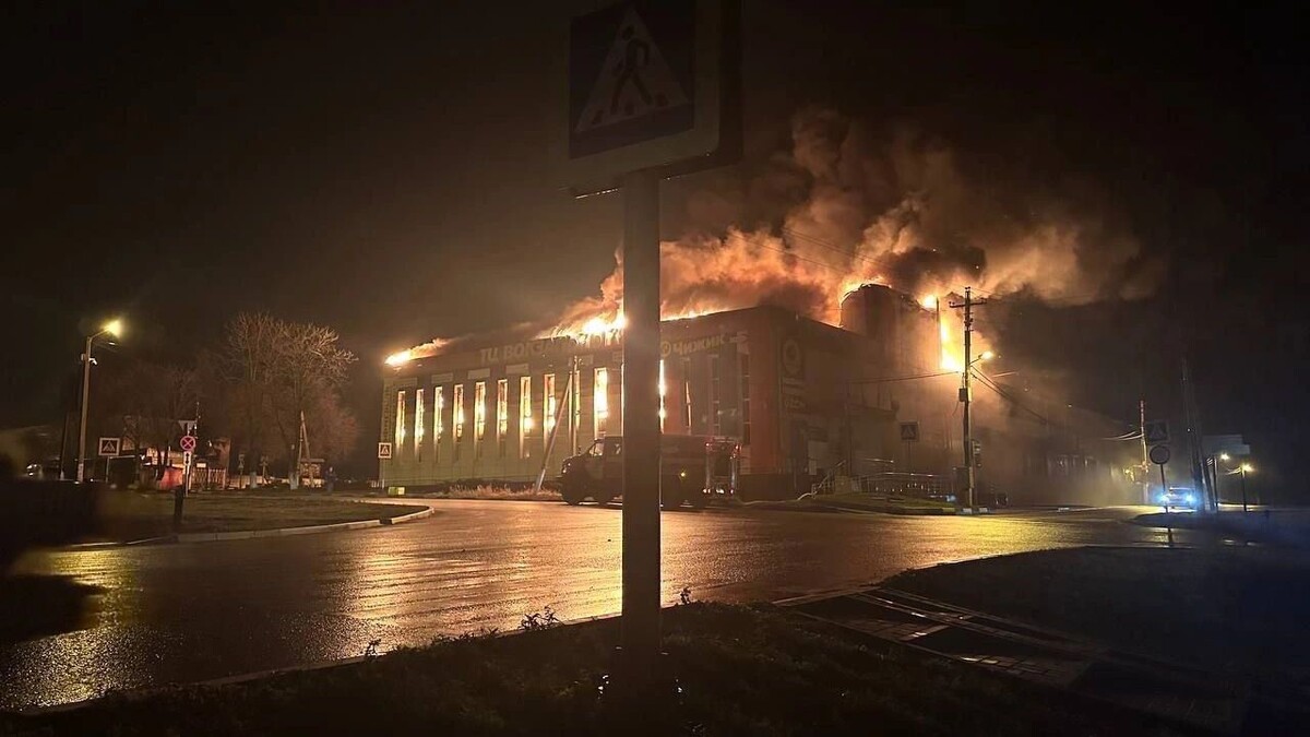    Фото: Настоящий Гладков/t.me