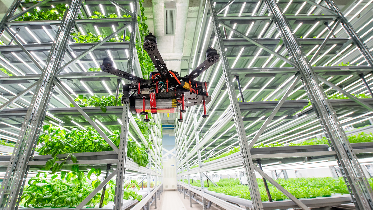 Иллюстрация. Высокотехнологичная теплица. Источник: LedInside