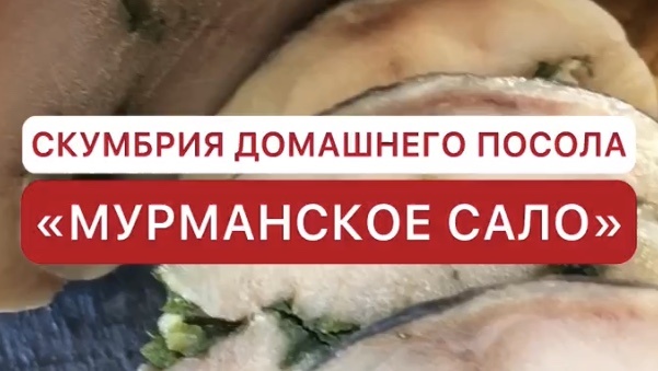 Скумбрия домашнего посола «Мурманское мало»